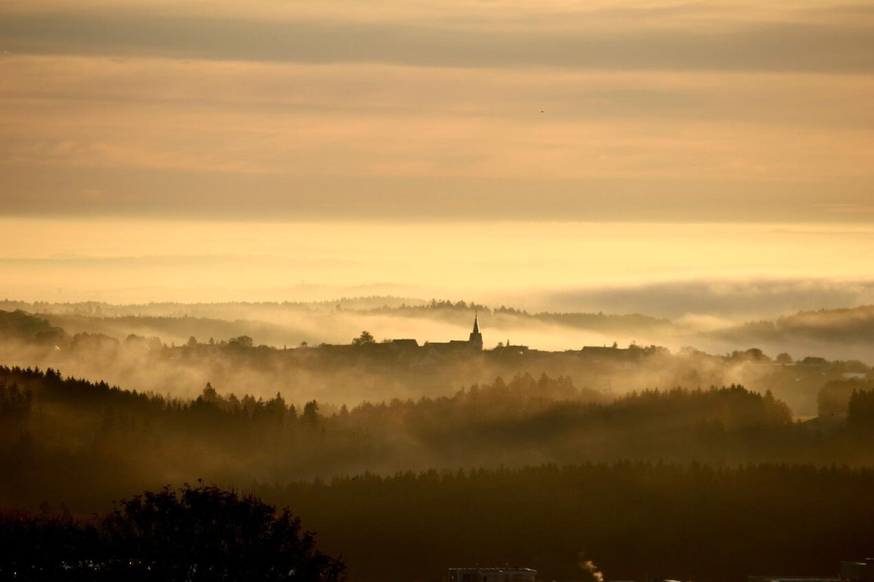 Landschaft und Technologieumfeld von Black Forest RMS
